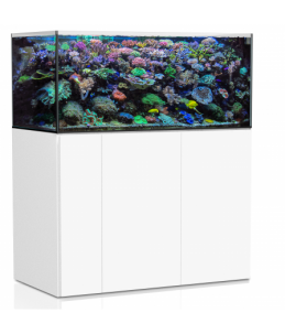 Aquarium XD 500