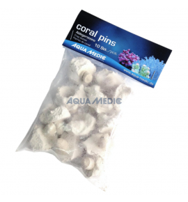 Coral Pins - supports de bouturage