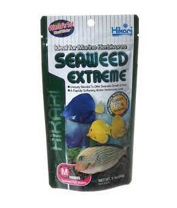 Marine Seaweed ex medium...