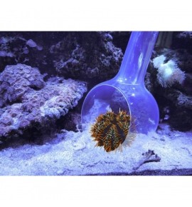 Aqua Medic Catch Bowl – Louche transparente pour poissons et invertébrés