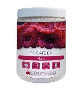 COLOMBO MARINE SILICATE EX