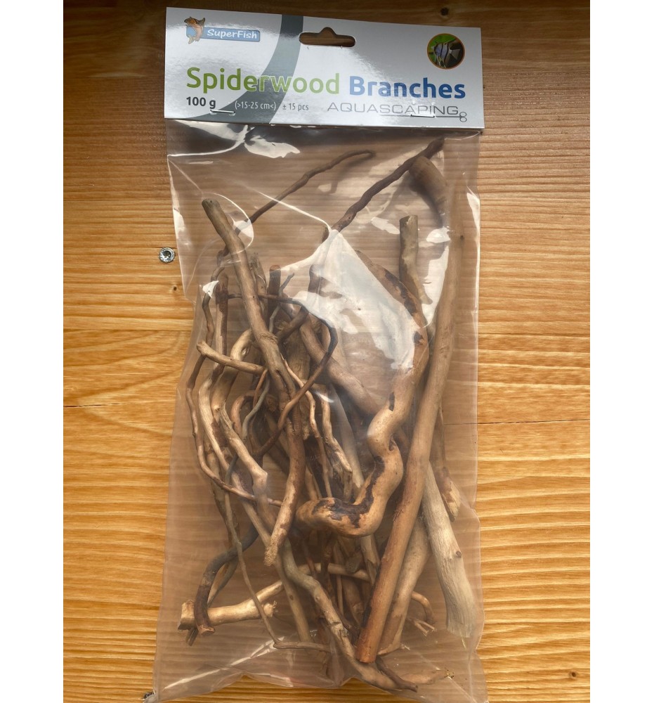 Branches de racine araignée (Spiderwood)