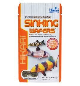 Hikari Sinking Wafers – Aliment complet coulant...