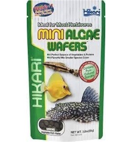 HIKARI Mini Algae Wafer - Nourriture pour...