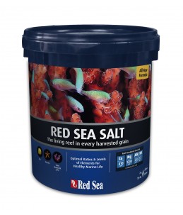 RED SEA - Sel Red Sea Salt