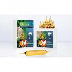 BioDigest Pro10 - Bactéries...