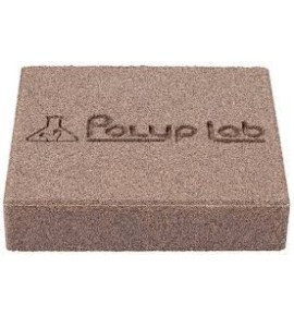 POLYPLAB Genesis Rock Combo