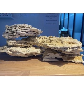 Marcorock Shelf Shape...