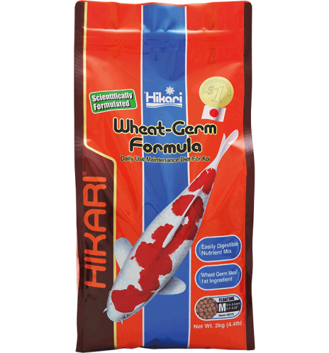 Hikari Wheat germ mini 500g date courte