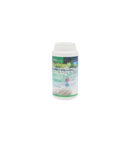 Bactogen, entretien de la filtration biologique