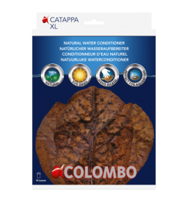 Colombo Catappa