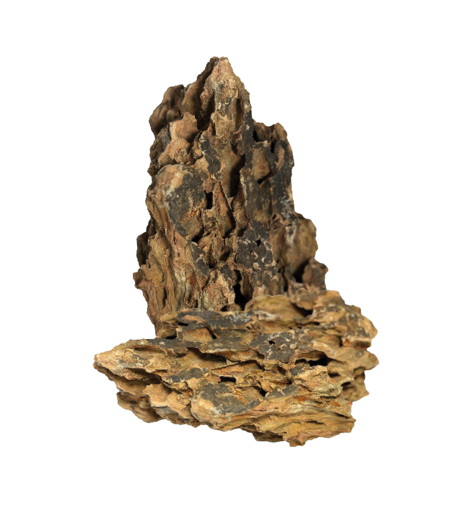 BIOART DRAGON ROCK SAC 800 GR