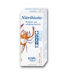 NITRIBIOTIC 50 ml - bactéries