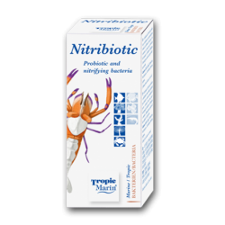 NITRIBIOTIC 50 ml - bactéries