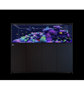 Aquarium Red Sea Reefer Peninsula S 950 G3+