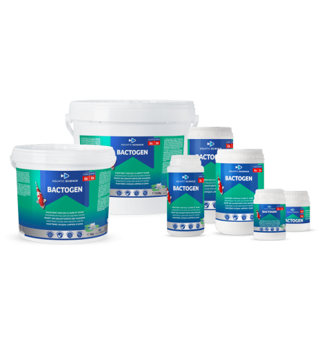 Bactogen, entretien de la filtration biologique