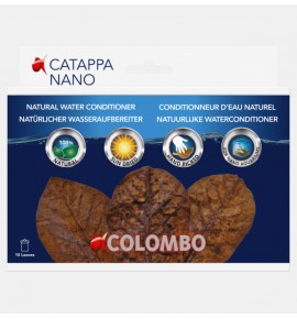 Columbo Catappa