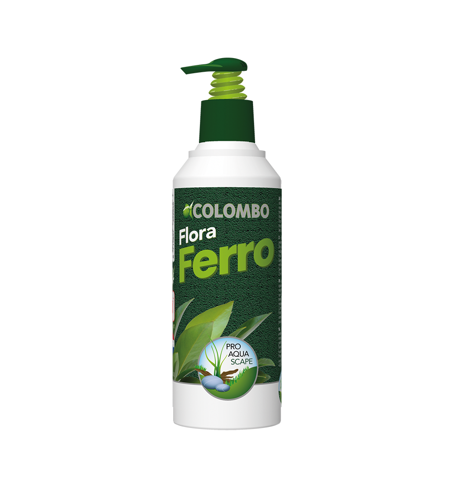 Colombo Flora Ferro date courte