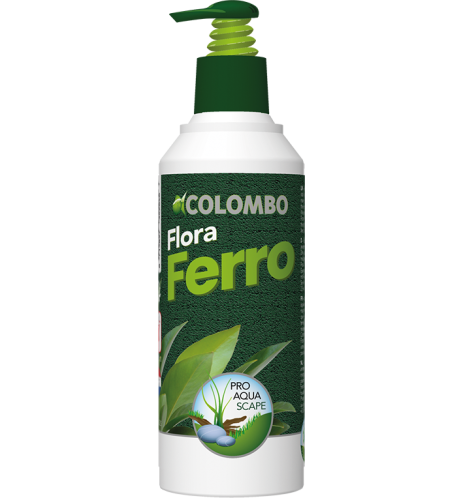 Colombo Flora Ferro date courte