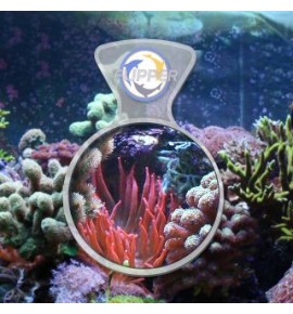 Flipper DeepSee Standard loupe magnétique