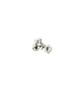 Coral Pins - supports de bouturage
