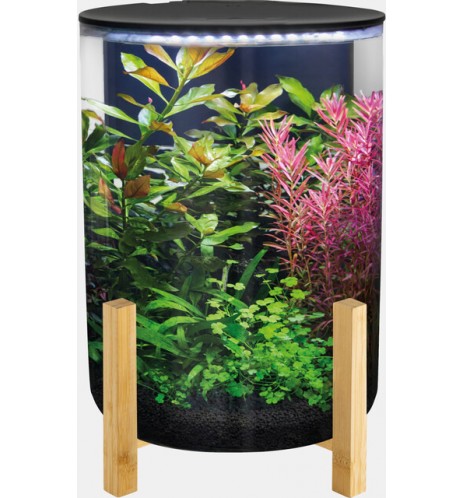 SuperFish OrbiQ 11 – Aquarium cylindrique 11 L