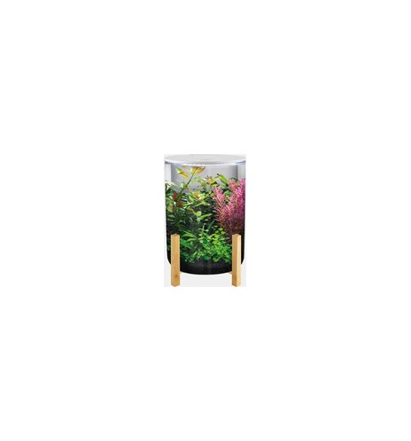 SuperFish OrbiQ 11 – Aquarium cylindrique 11 L