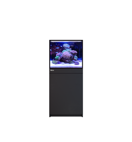 Red Sea REEF-FRAME 170 – Aquarium récifal