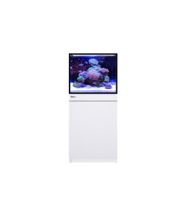 Red Sea REEF-FRAME 170 –...