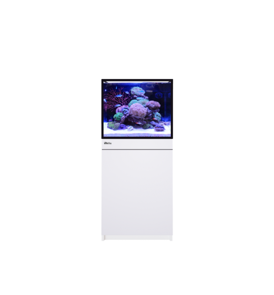 Red Sea REEF-FRAME 170 – Aquarium récifal
