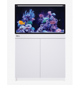 Red Sea REEF-FRAME 250-...