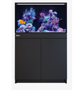Red Sea REEF-FRAME 250- Aquarium récifal