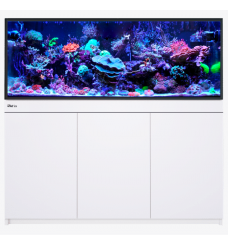 Red Sea REEF-FRAME 500- Aquarium récifal