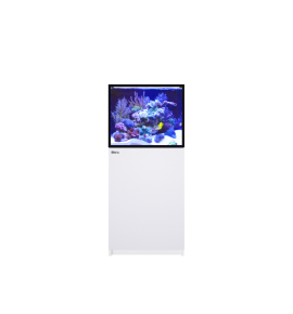 Red Sea REEFER 200 G3+ – Aquarium récifal 200 L – Classique et MAX