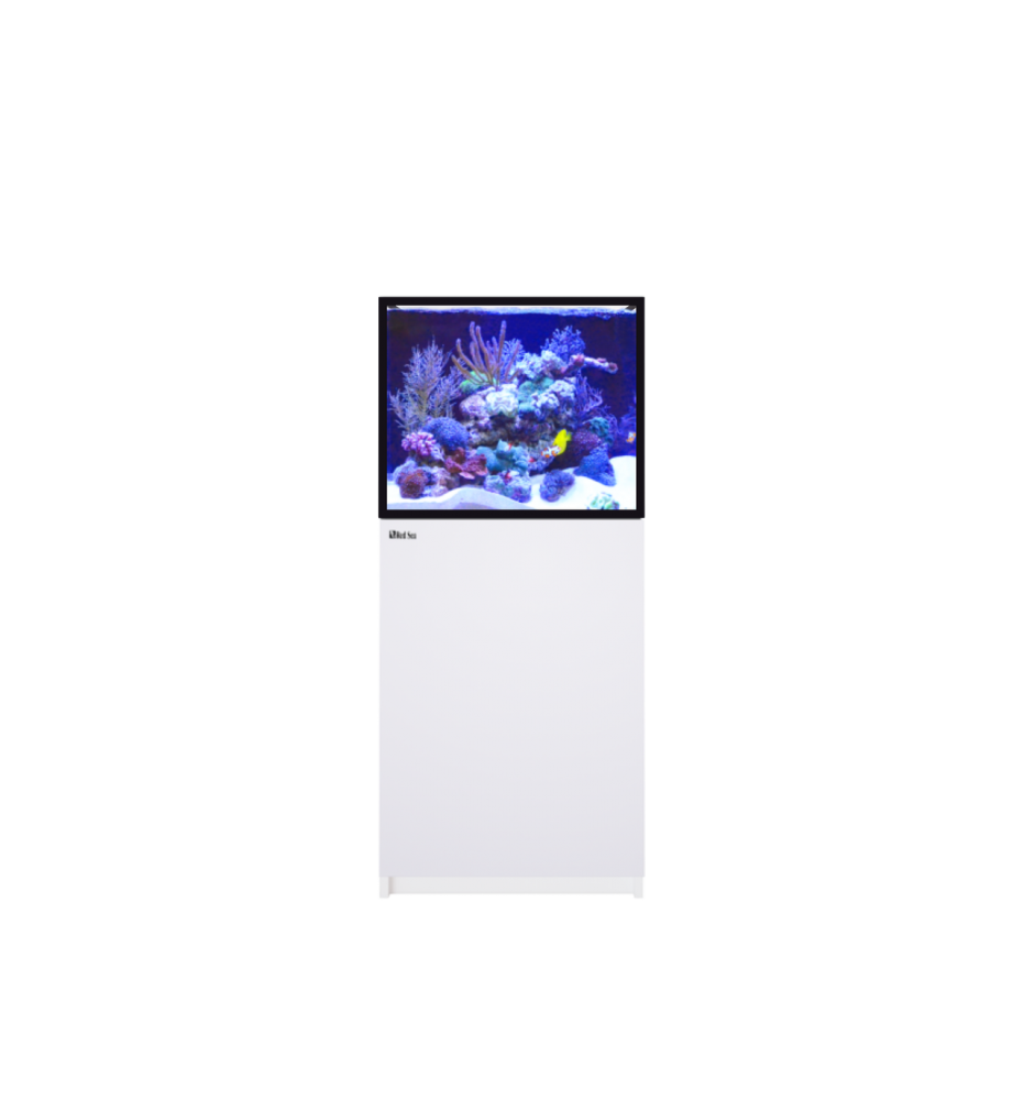 Red Sea REEFER 200 G3+ – Aquarium récifal 200 L – Classique et MAX