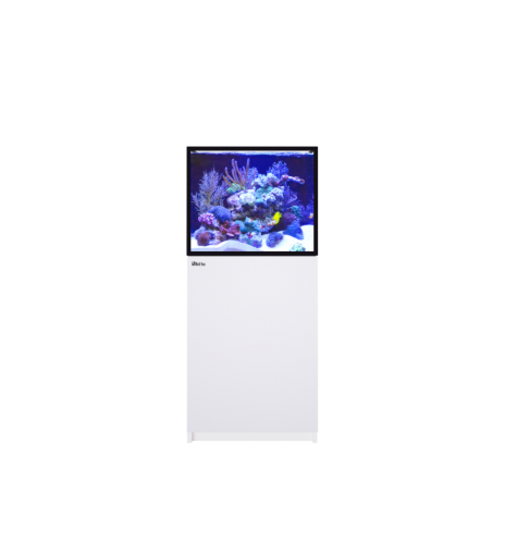 Red Sea REEFER 200 G3+ – Aquarium récifal 200 L – Classique et MAX