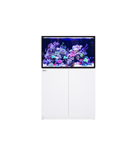 Red Sea REEFER 300 G3+ – Aquarium récifal 300 L – Classique et MAX
