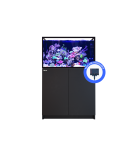 Red Sea REEFER 300 G3+ – Aquarium récifal 300 L...