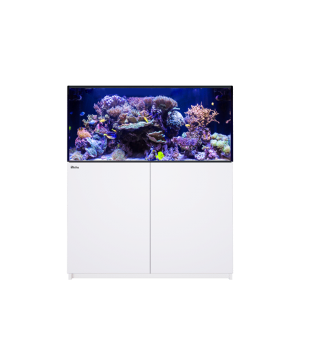 Red Sea REEFER 425 G3+ – Aquarium récifal 433 L – Classique et MAX