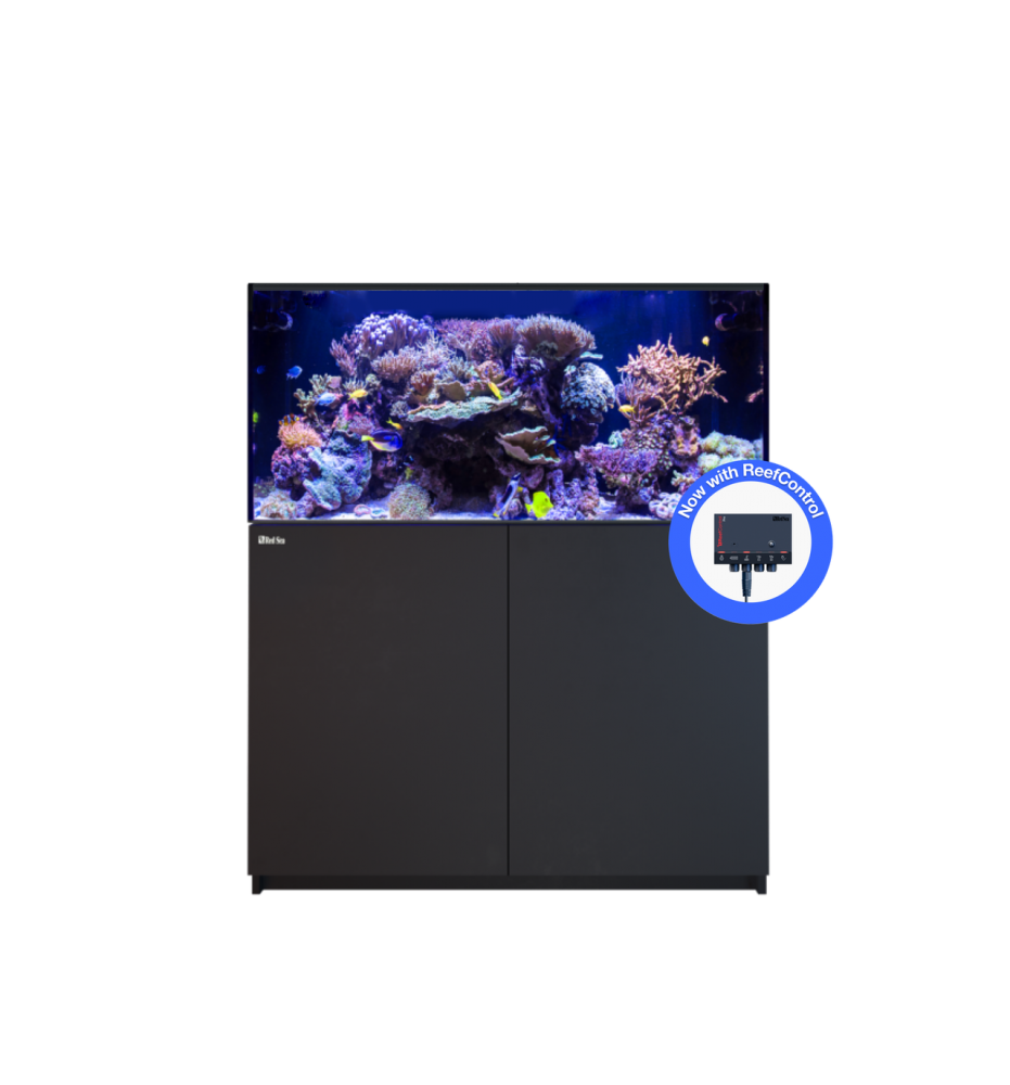 Red Sea REEFER 425 G3+ – Aquarium récifal 433 L – Classique et MAX