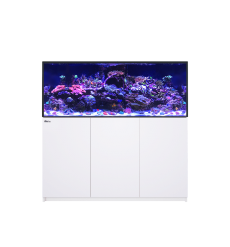 Red Sea REEFER 625 G3+ – Aquarium récifal 620 L – Classique et MAX