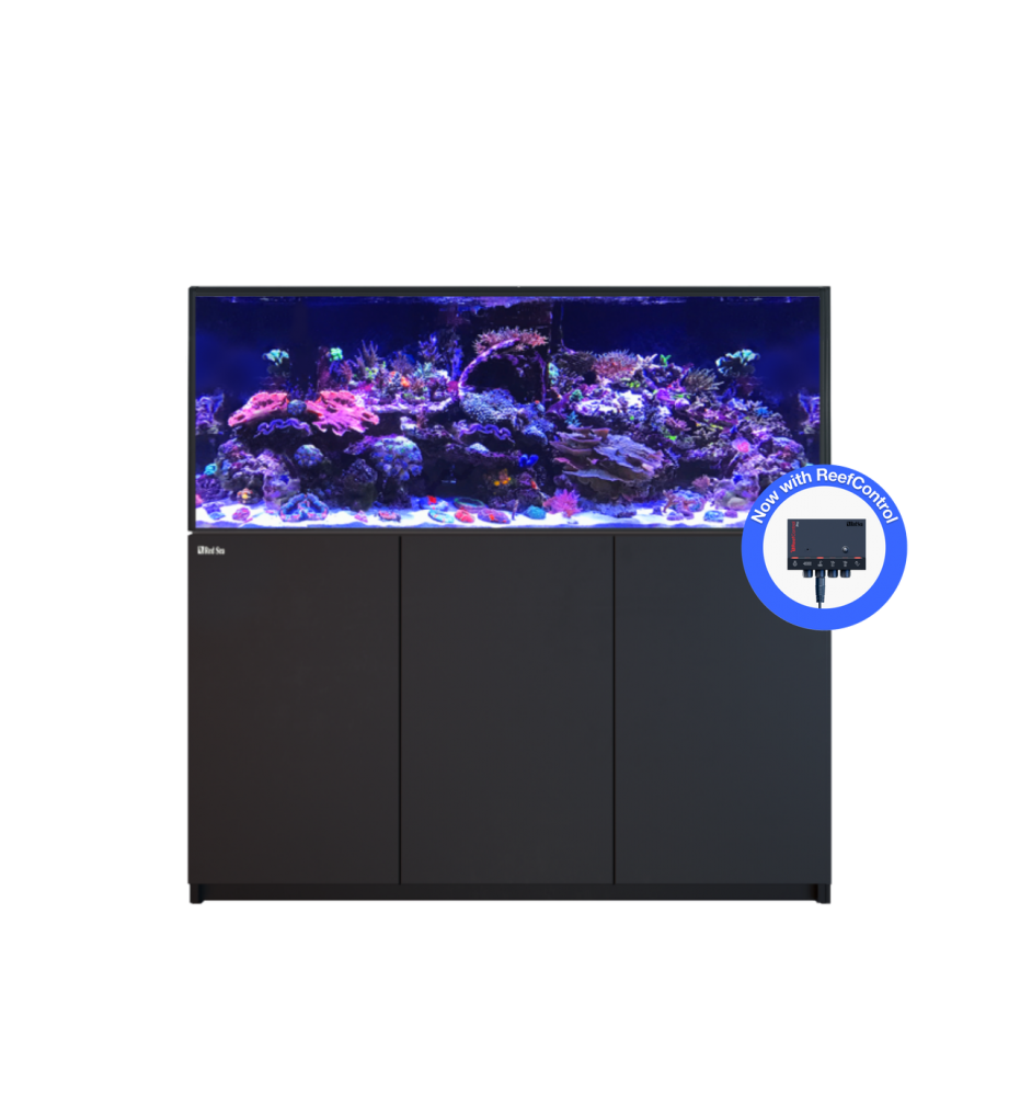 Red Sea REEFER 625 G3+ – Aquarium récifal 620 L – Classique et MAX