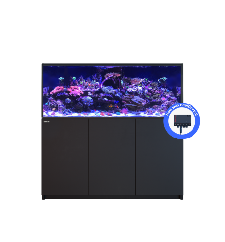Red Sea REEFER 625 G3+ – Aquarium récifal 620 L – Classique et MAX