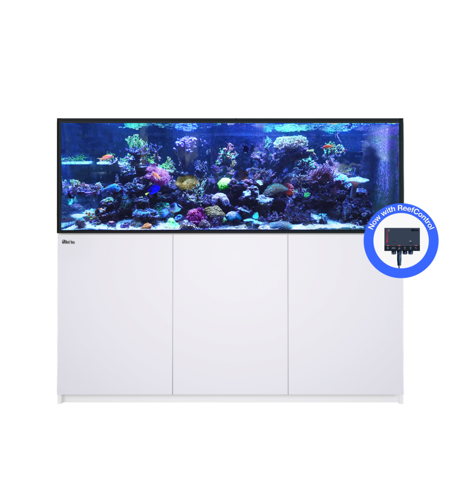 Red Sea REEFER 750 G3+ – Aquarium récifal 750 L – Classique et MAX