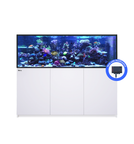 Red Sea REEFER 750 G3+ – Aquarium récifal 750 L – Classique et MAX