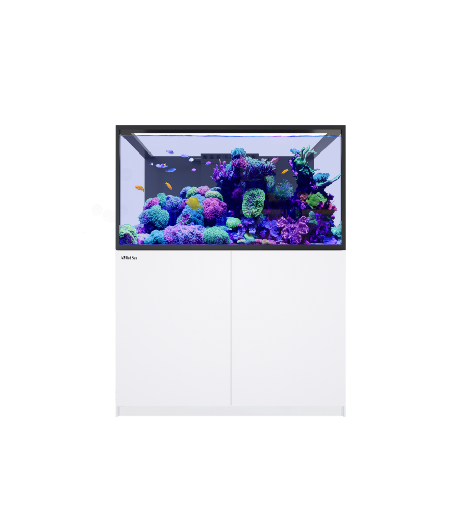 Red Sea REEFER S-550 G3+ – Aquarium récifal 549 L – Classique et MAX