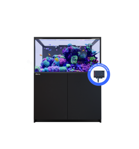 Red Sea REEFER S-550 G3+ – Aquarium récifal 549 L – Classique et MAX