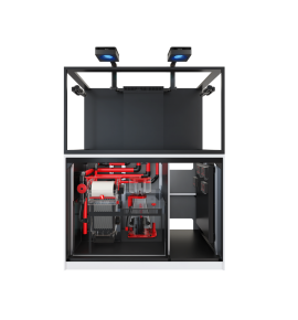 Red Sea REEFER S-550 G3+ – Aquarium récifal 549 L – Classique et MAX