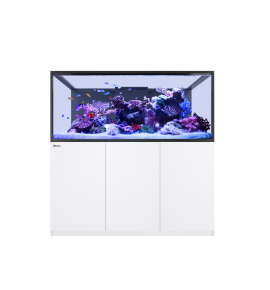 Red Sea REEFER S-700 G3+ – Aquarium récifal 699 L – Classique et MAX