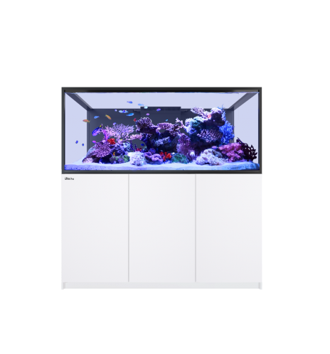 Red Sea REEFER S-700 G3+ – Aquarium récifal 699 L – Classique et MAX